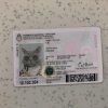 Argentina-Identity-Card-Template-