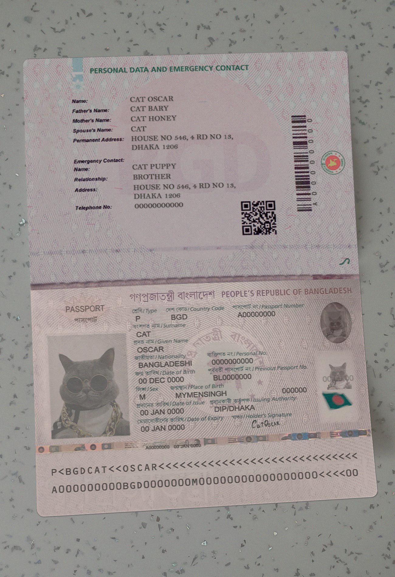 Bangladesh-Passport-Template-