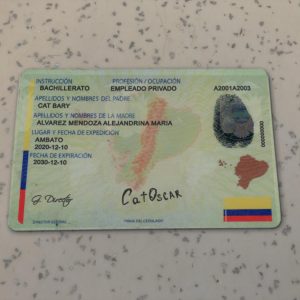 Ecuador-Identity-Card-Template