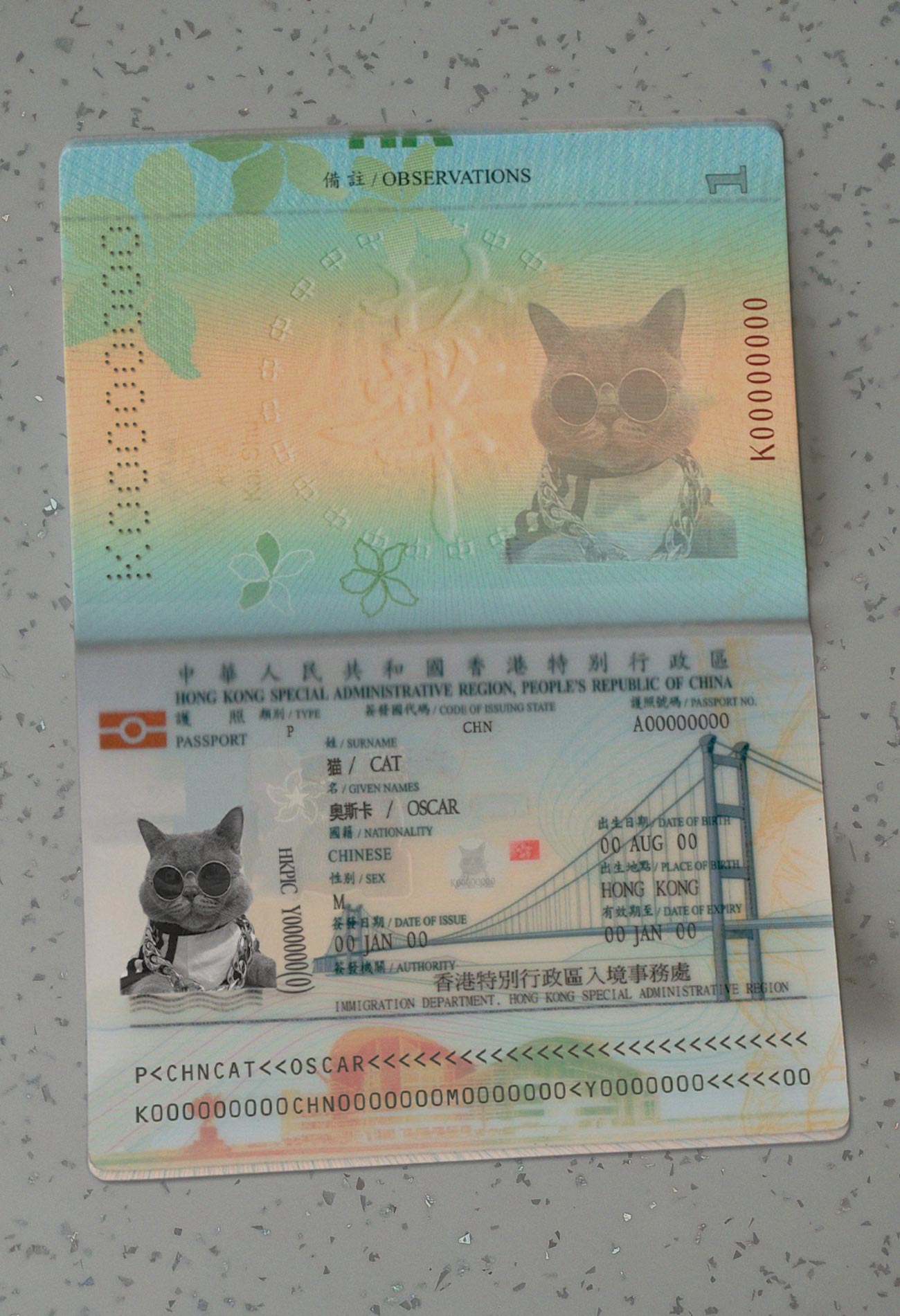 Hong-Kong-Passport-Template