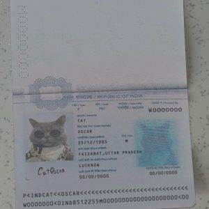 India-Passport-Template