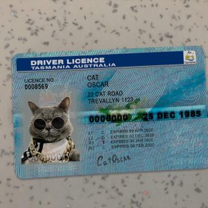 Tasmania-Driver-License-Template