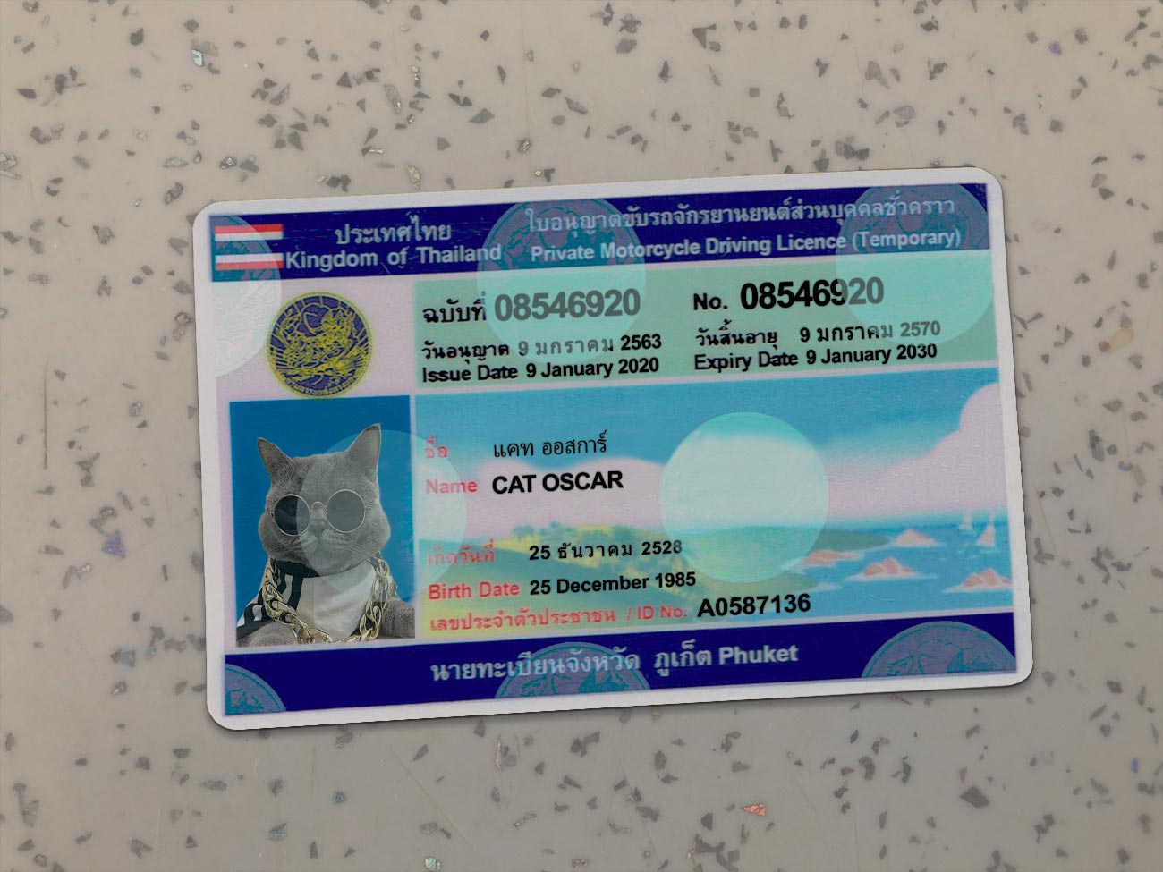 Thailand-Driver-License-Template-
