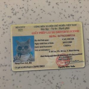 Vietnam-Driver-License-Template