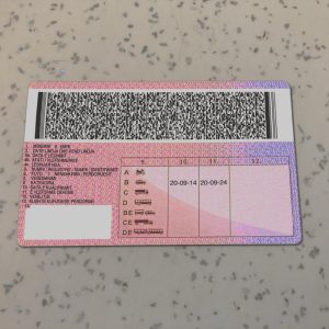 Albania PSD Driver License