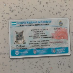 Argentina Driver License PSD Template