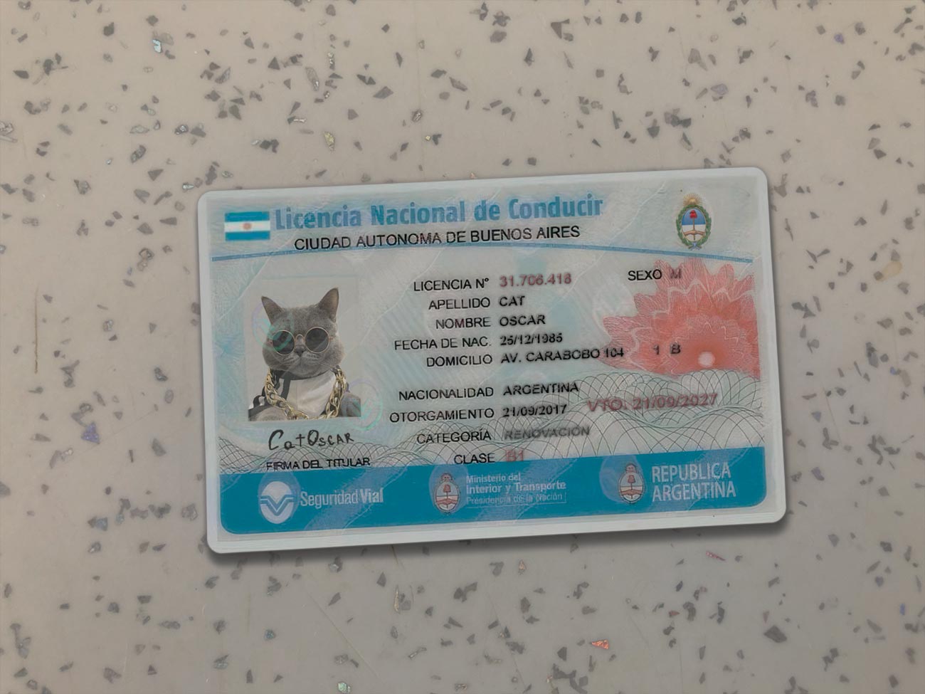 Argentina Driver License PSD Template