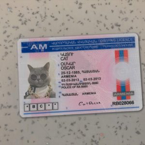 Armenia Driver License PSD Template