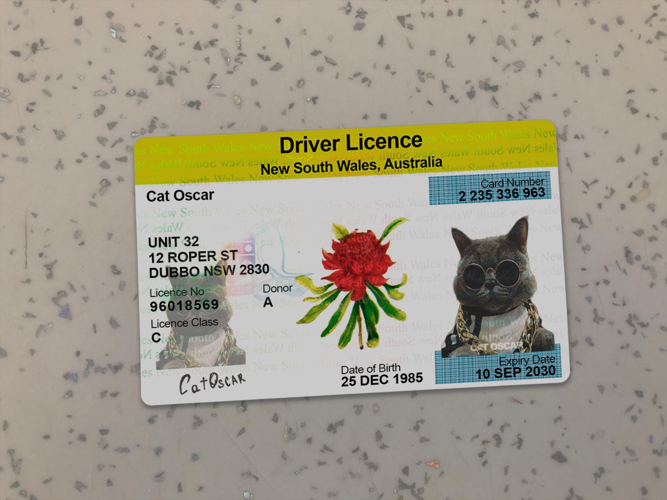 NSW Driver License PSD, Australia ID Template,