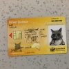Australia Queensland Driver License
