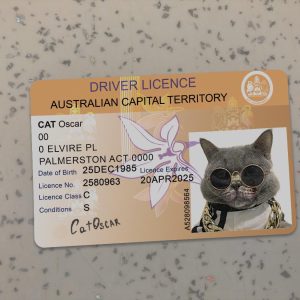 Australian Capital Territory Driver License PSD Template