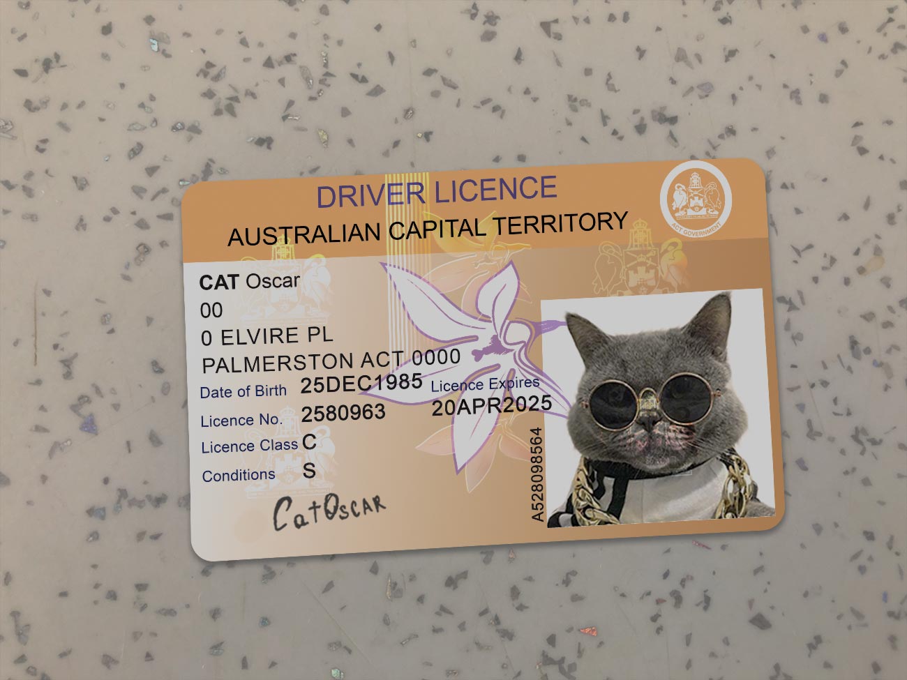 Australian Capital Territory Driver License PSD Template