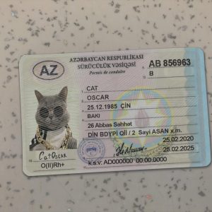 Azerbaijan Driver License PSD Template