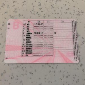 Belgium Driver License PSD Template