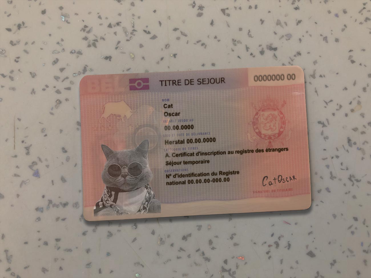 Belgium Permanent Residence Card Template – Fully Editable PSD