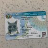 Bolivia Driver License PSD Template