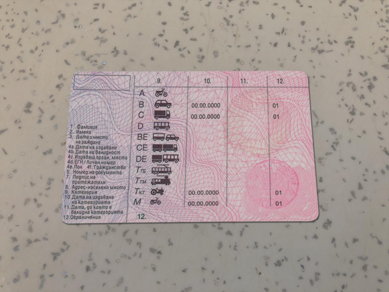 Bulgaria-Driver-License-Template