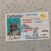 California-Driver-License-Template