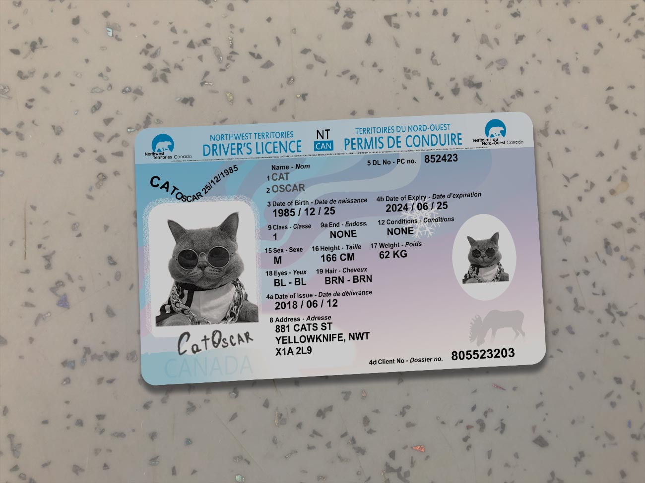 Canada-NWT-Driver-License-Template