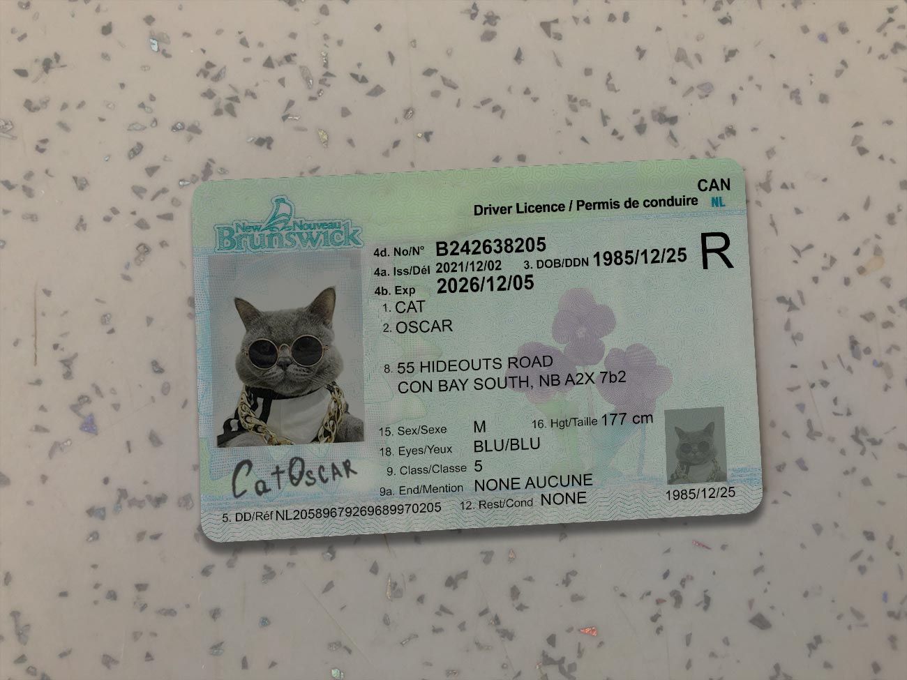 Canada-New-Brunswick-Driver-License