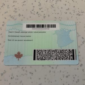 Canada-New-Brunswick-Driver-License