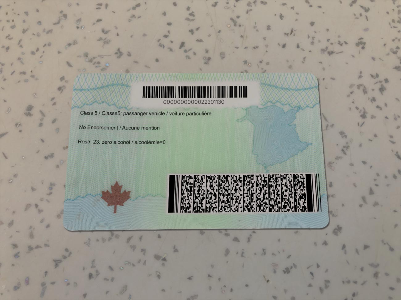 Canada-New-Brunswick-Driver-License