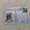Chile-Driver-License-Template