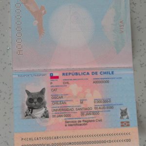 Chile-Passport-Template