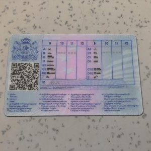 Country-Georgia-Driver-License-Template-