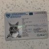 Cyprus Identity Card
