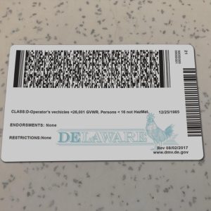Delaware-Driver-License-Template-