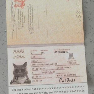 Denmark-Passport-Template-