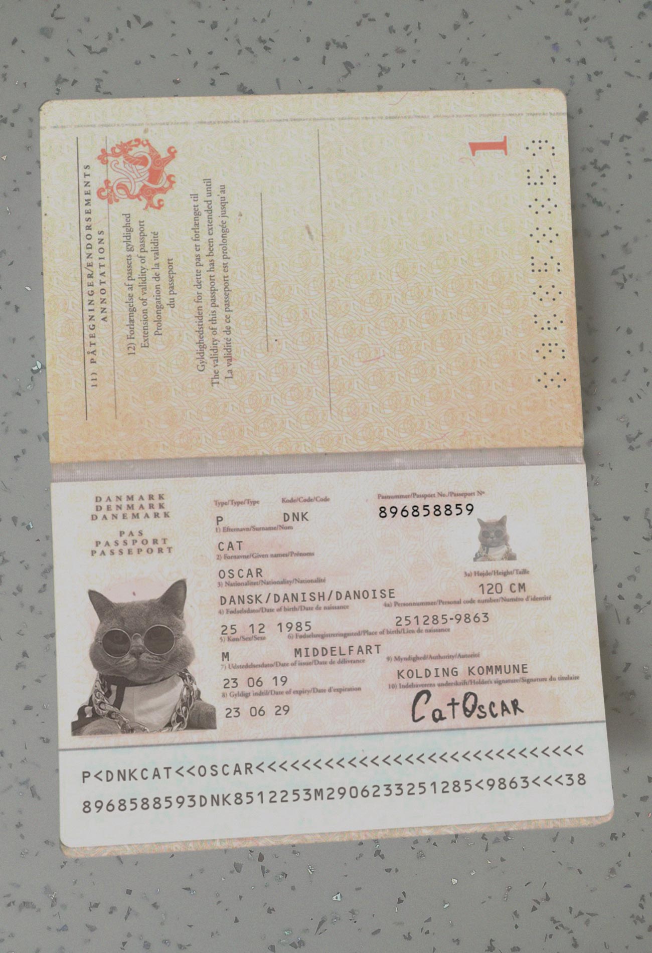 Denmark-Passport-Template-