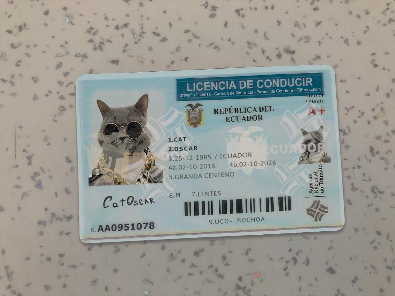 Ecuador-Driver-License-Template