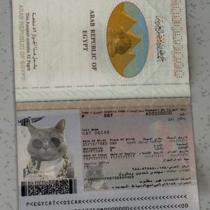 Egypt-Passport-Template