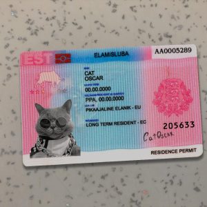 Estonia Residence Permit PSD Template