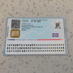 France Identit Card Template