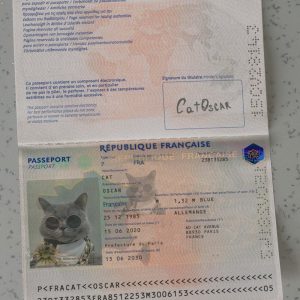 France-Passport Template-
