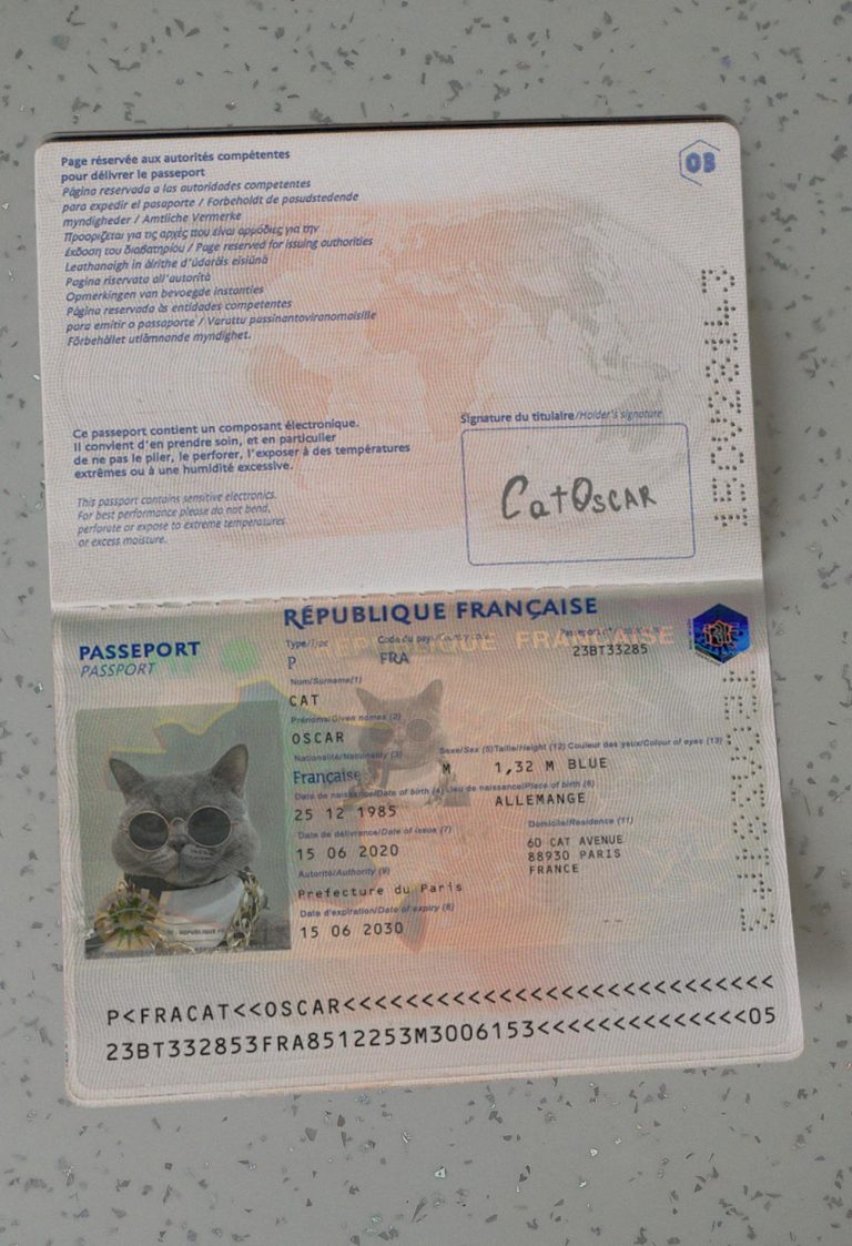 France-Passport Template-