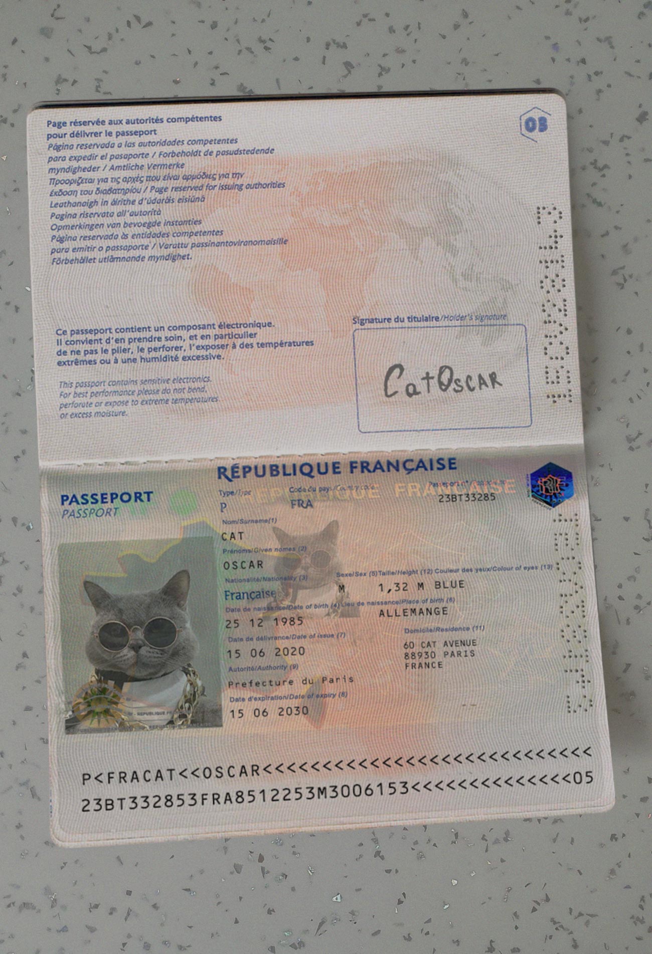 France-Passport Template-