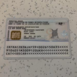 France Residence Permit PSD Template