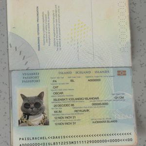 Iceland-Passport-Template
