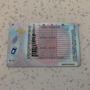 Ireland-Driver-License