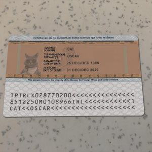 Ireland Identity Card