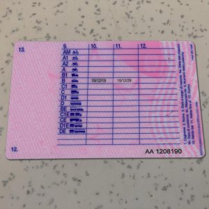 Italy-Driver-License-Template-