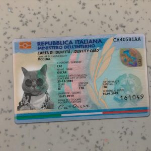 Italy-Identity-Card
