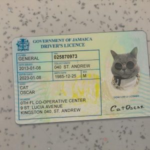 Jamaica-Driver-License-Template