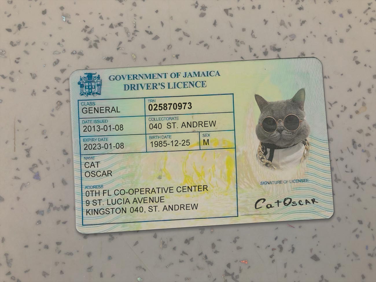 Jamaica-Driver-License-Template