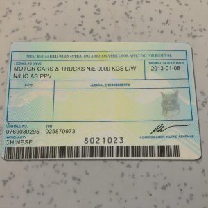 Jamaica-Driver-License-Template