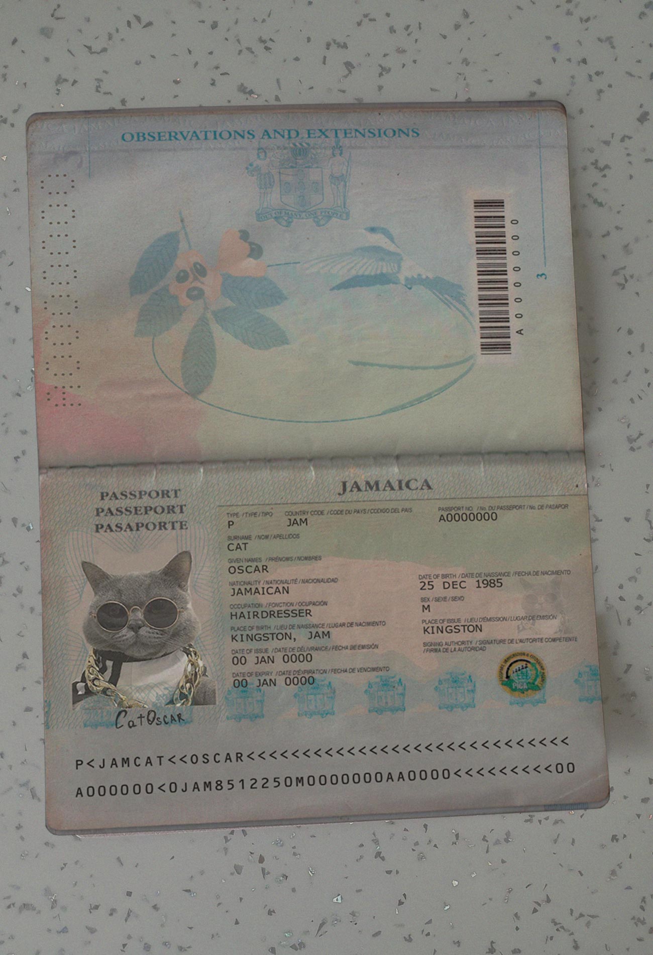 Jamaica-Passport-Template
